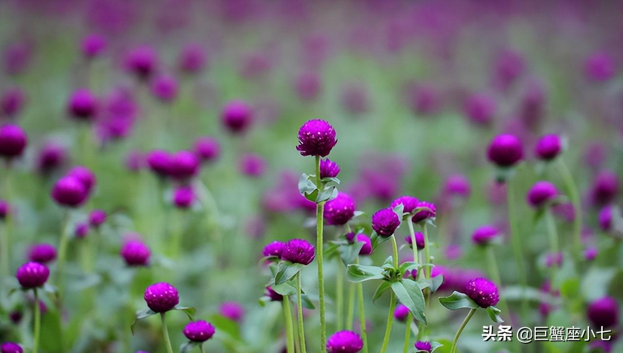 处女星座男忽冷忽热怎么解决,忽冷忽热的星座男人的性格
