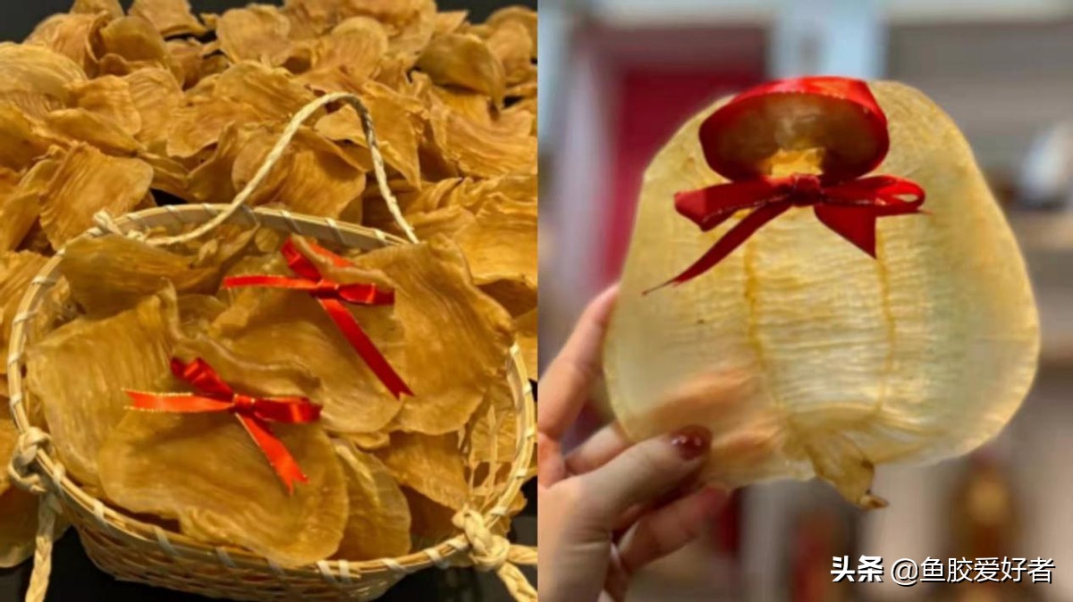 鱼胶养殖好还是野生的好,养殖的鱼胶没什么效果吗