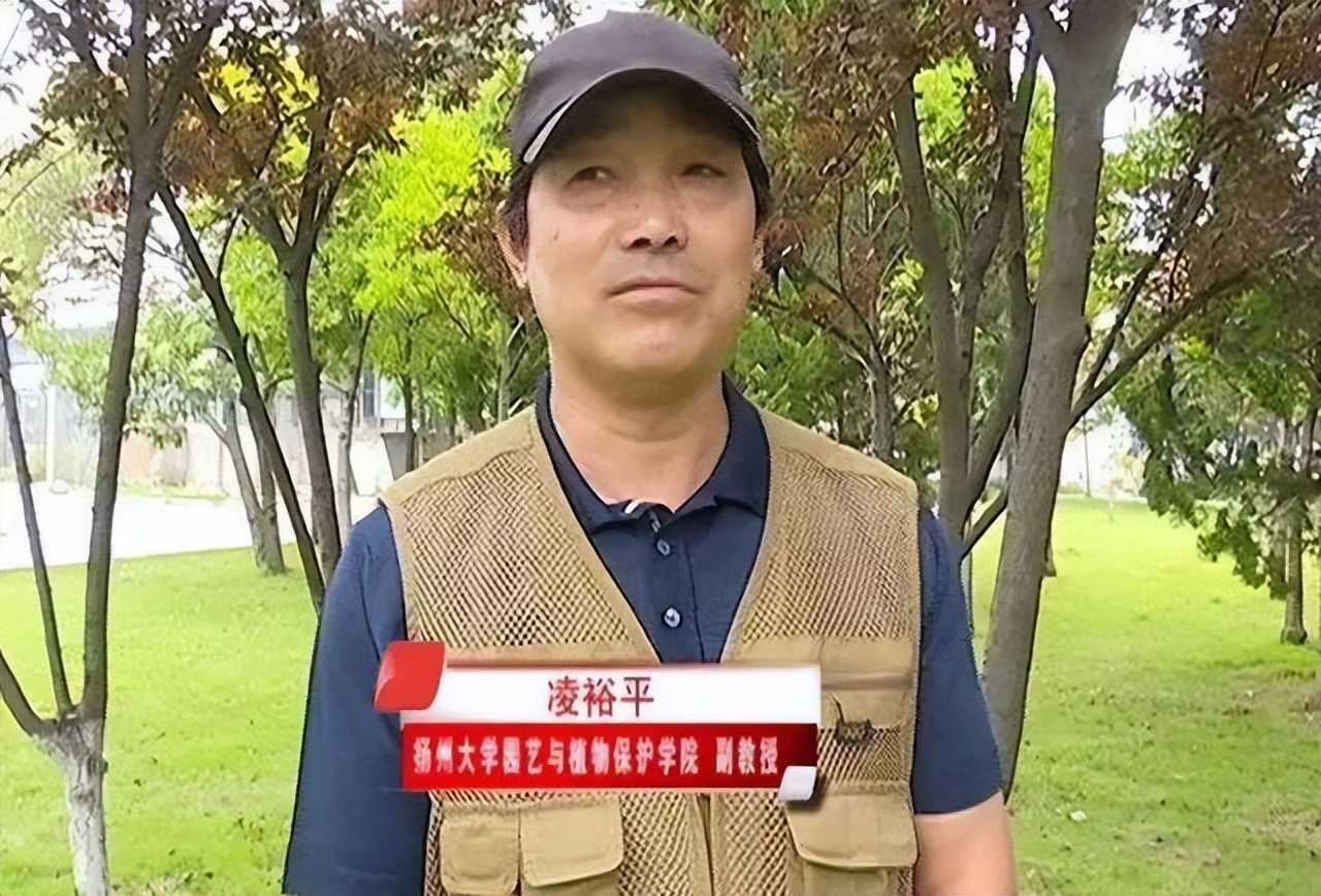 她，16岁因美貌被印在人民币上，却领低保16年，如今过得怎么样？