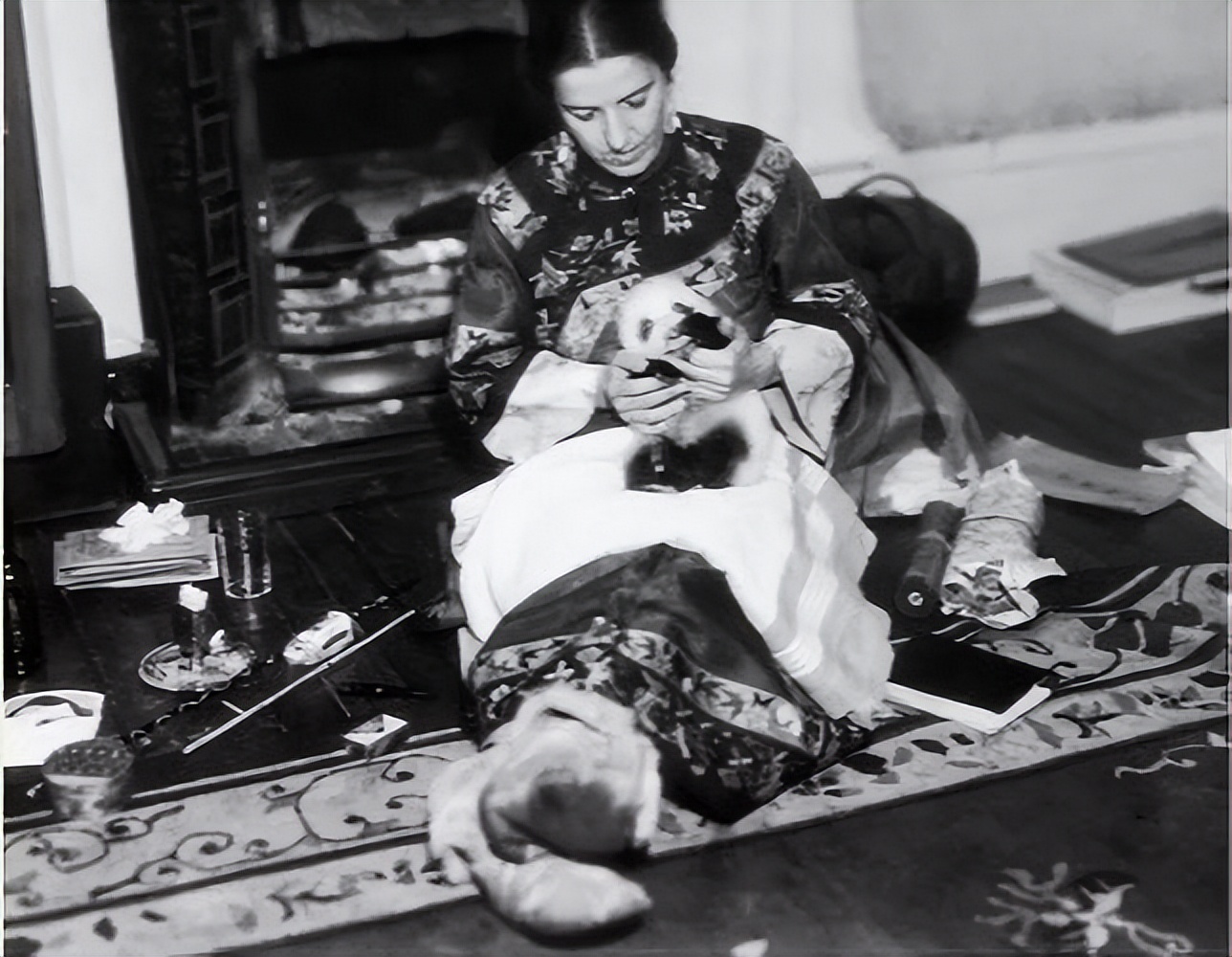 我国被偷的大熊猫,外国人偷大熊猫有多疯狂