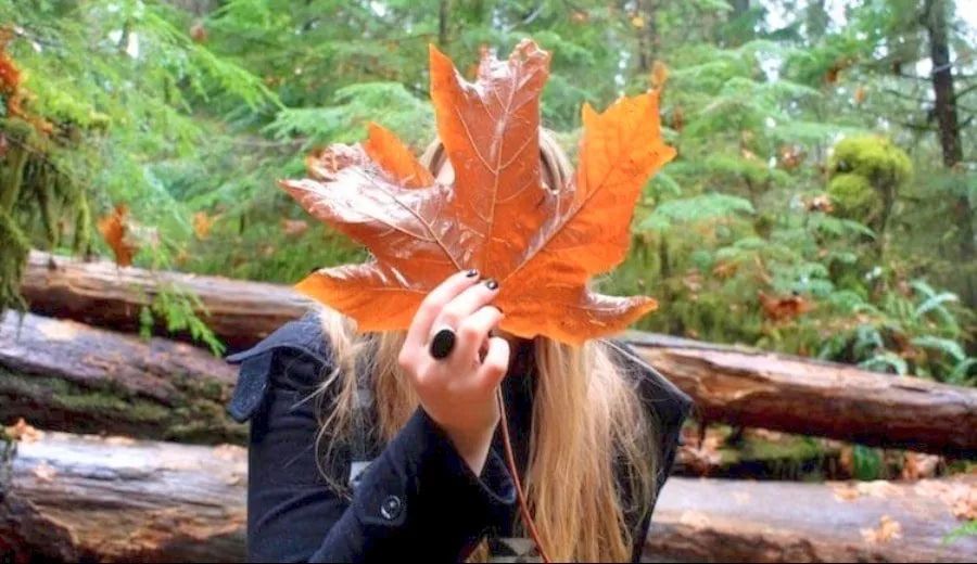 7月去加拿大旅游需要带的东西,加拿大枫叶季深度游