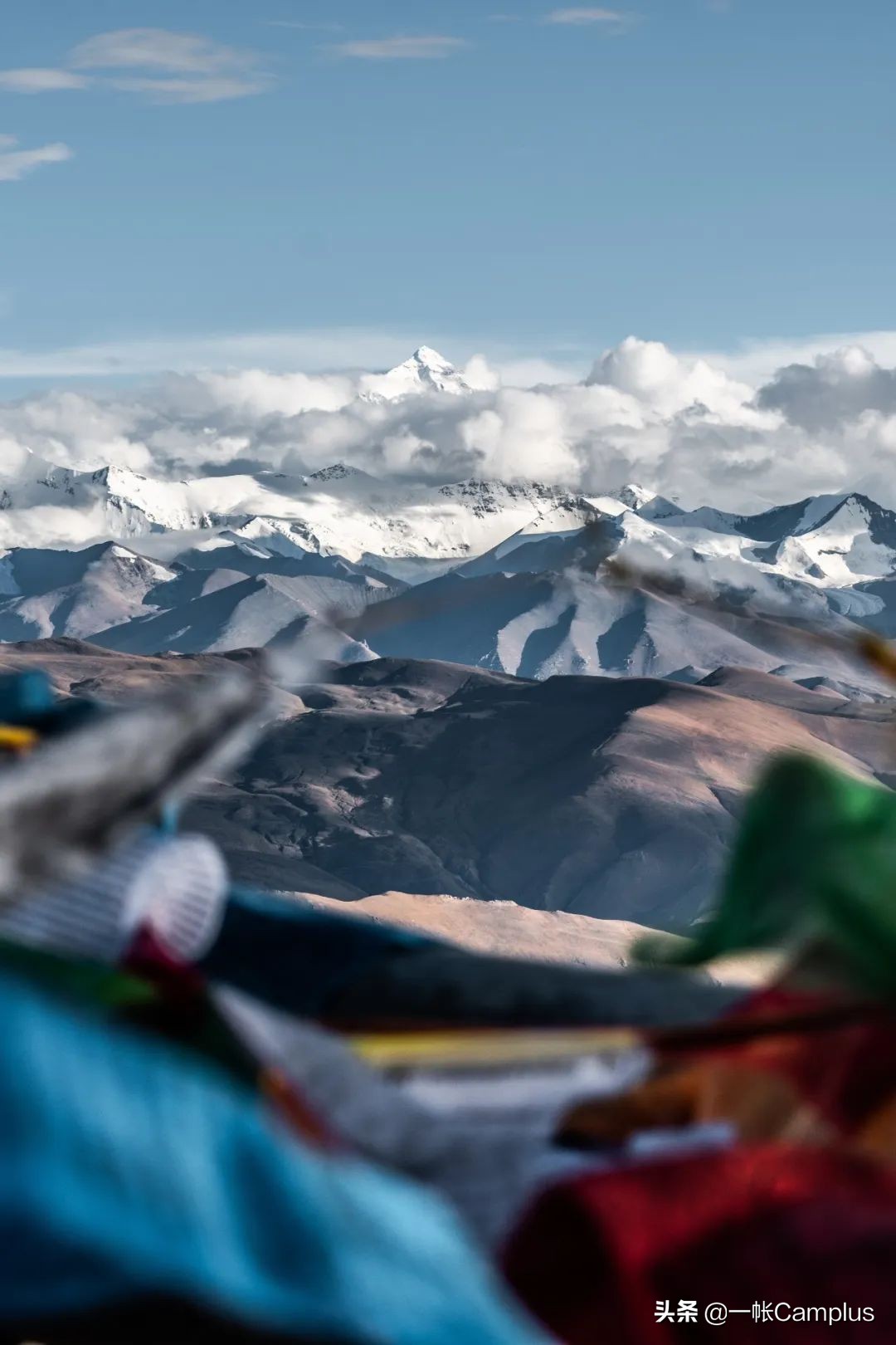 火枫现状,火枫近况