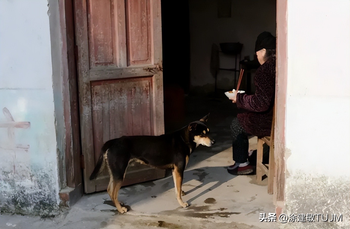 回乡创业25年的历程,25年回村