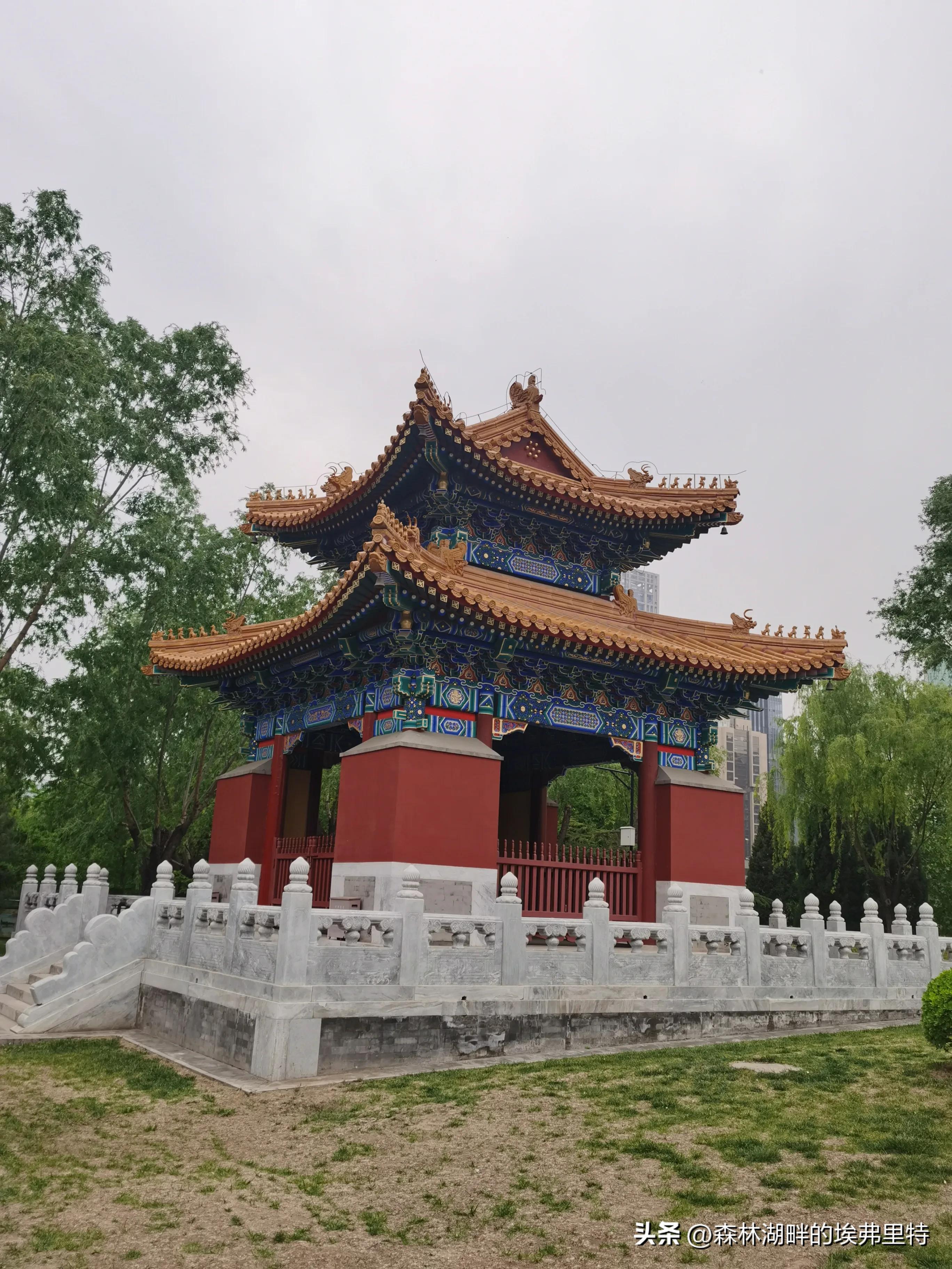 北京庆丰公园里的“神木”