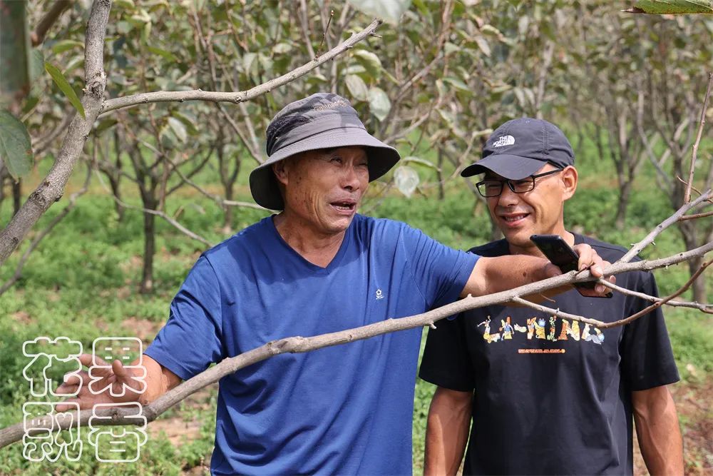老农告诉大家农作物种植,农资人对农户的忠告