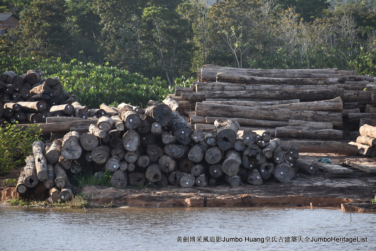 第5047回：消失的亚马逊文明，流失的林下聚居地
