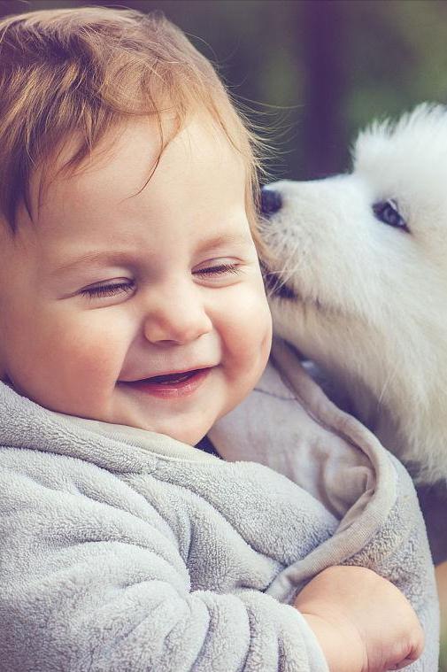 狗狗喜欢舔人是什么原因呢,狗狗总是舔爪子是什么原因