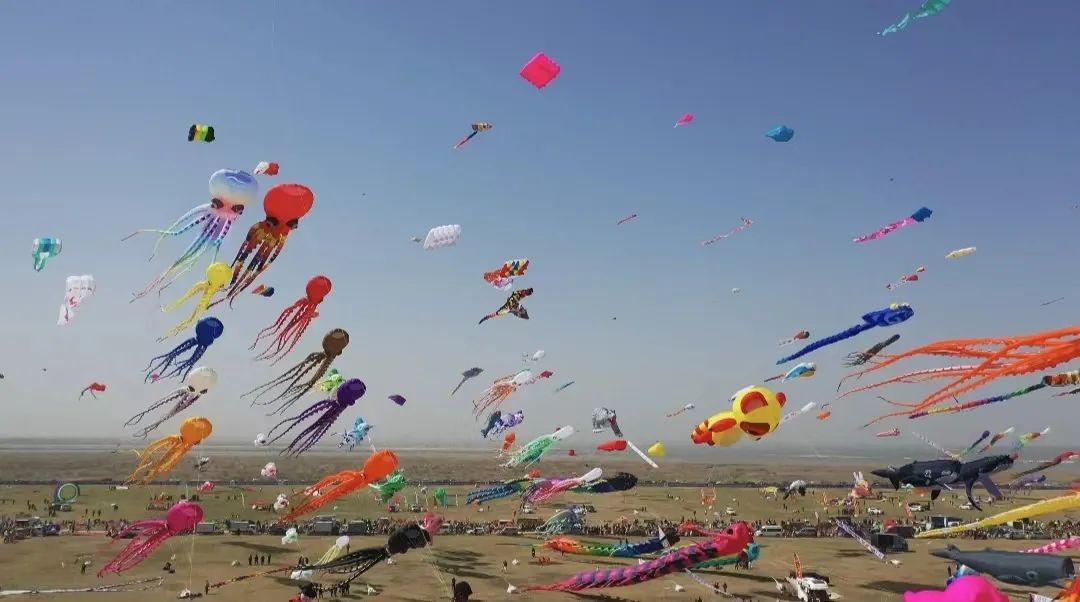 行走的课堂研学之旅辽宁经济频道,行走的课堂户外研学活动