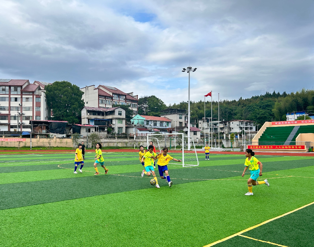 南平市派迪茵,派迪茵体育