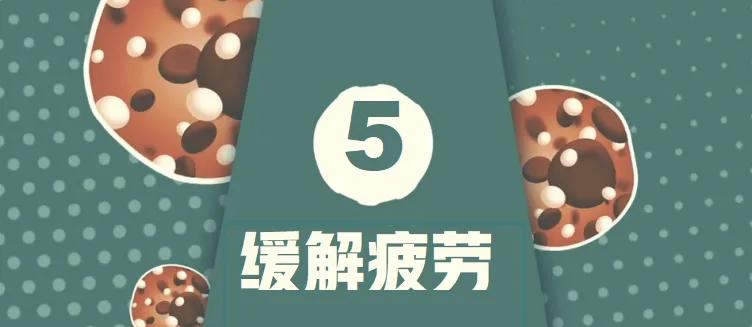 蛋白粉的作用,蛋粉的营养价值