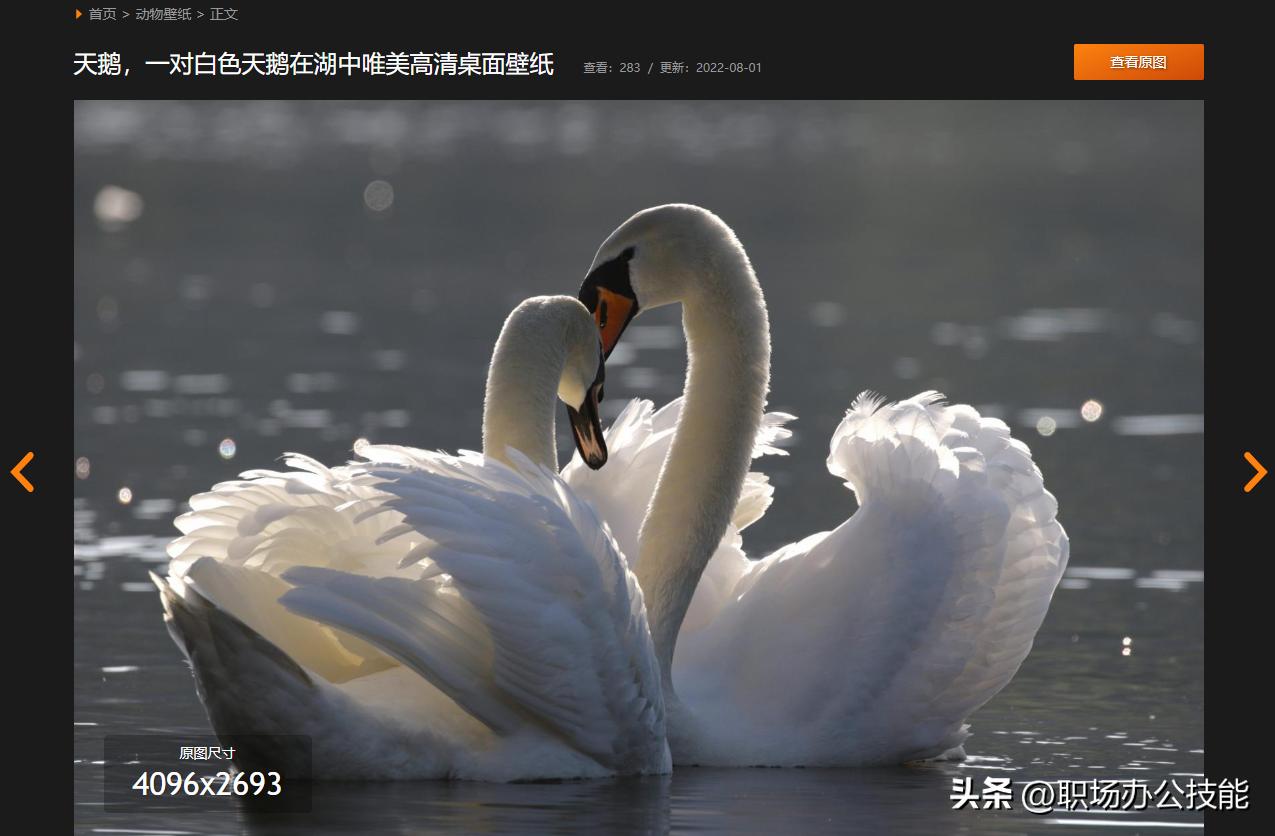 私藏壁纸,私藏壁纸超清全面屏