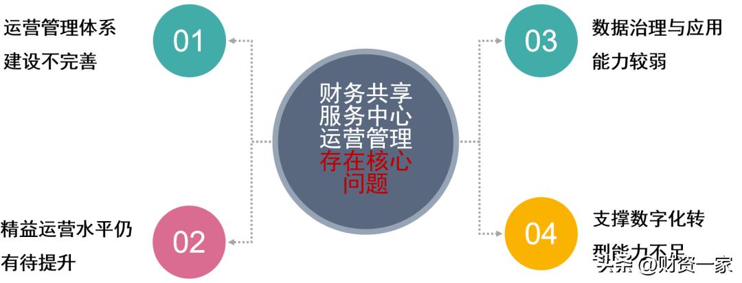 财务共享服务中心运营管理模式,中石油财务共享业务存在的问题