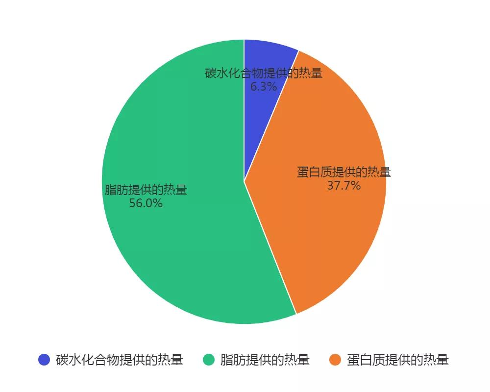 catfood猫食,catfood评测