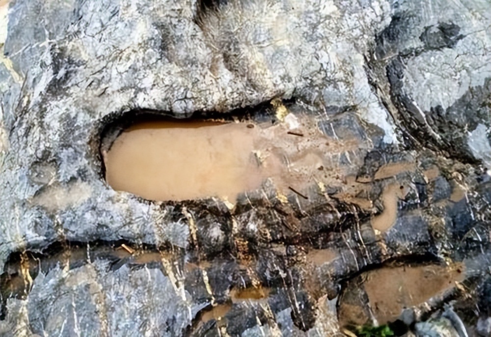 70岁老人摔跤事件,72岁老人摔跤完整视频