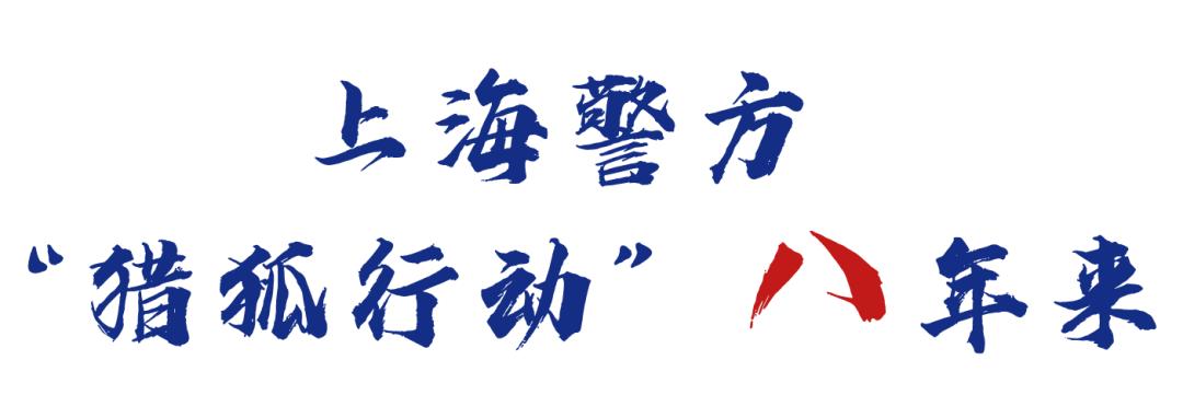 百日行动警方查处,百日行动公安持续破案