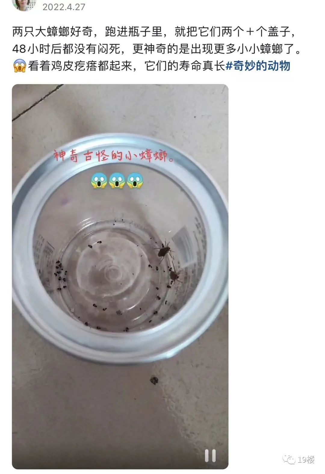 过敏原检测为蟑螂,过敏源是蟑螂过敏怎么办