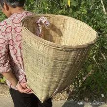 你说咋处理？三名青年返乡创业，贫穷老人几次三番背着背篼来偷