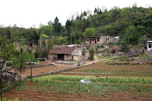 10元钱3斤“自己家”的生意，羡慕死了多少人