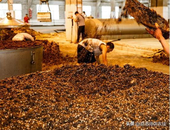 同为洋河，梦之蓝和天之蓝谁更有市场？行家叹气：说来话长