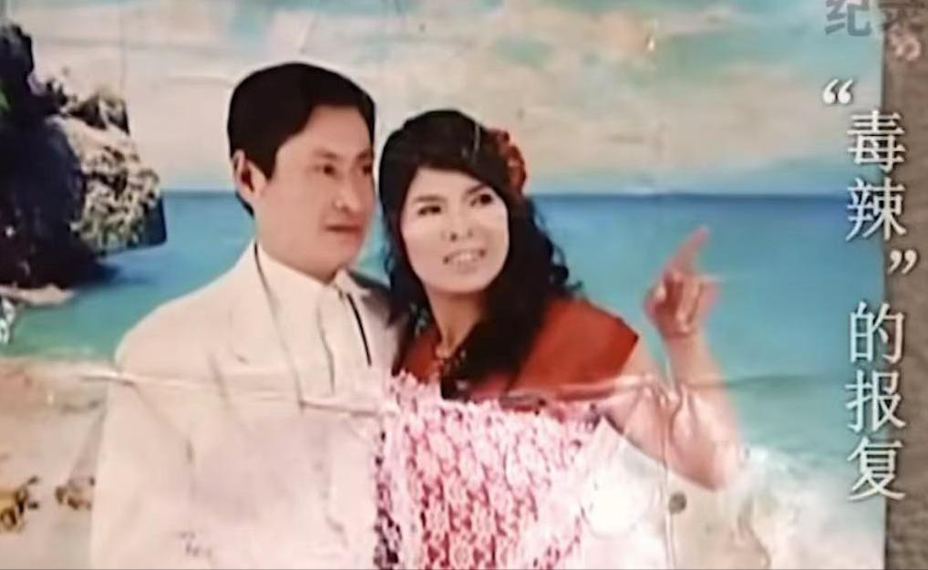 毒辣的报复完整版,毒辣的报复下集