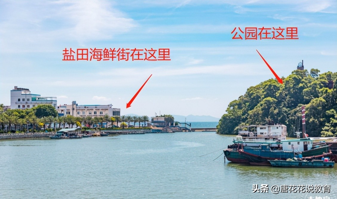 深圳地铁8号线可以看海吗,深圳地铁15号线游玩攻略路线