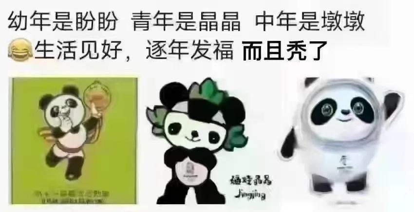 还没买到冰墩墩，已经被山寨货笑哭了