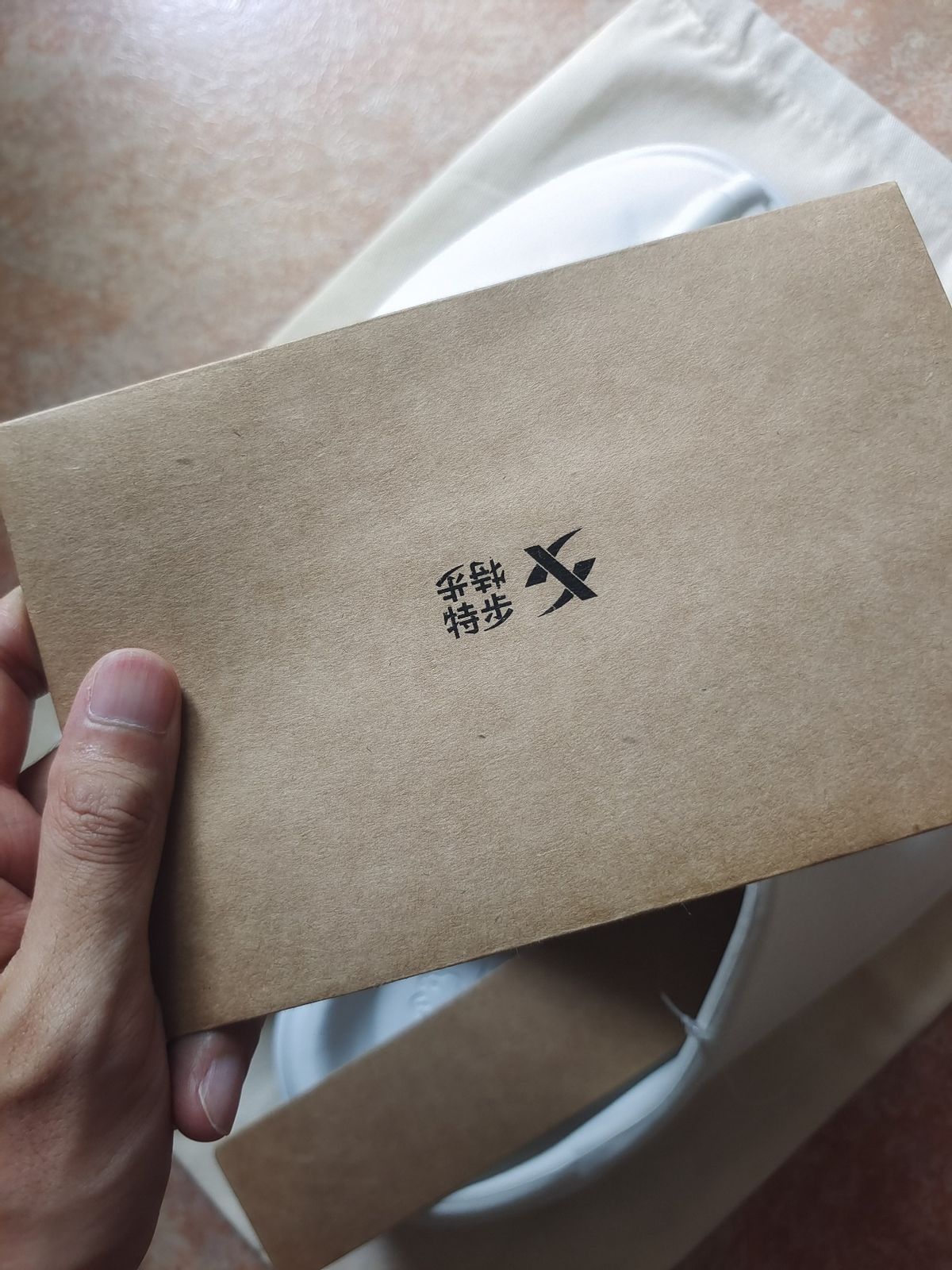 中国风的凉拖,带标志的特步凉拖