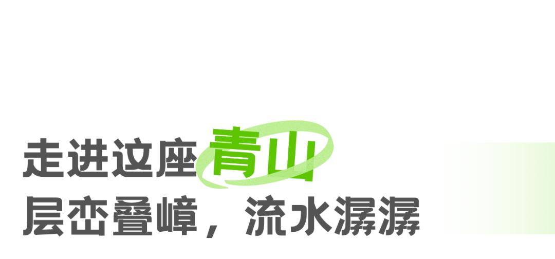 娴忛槼鐑熻姳鏃呰,鏄熷煄鏃呮父鏀荤暐