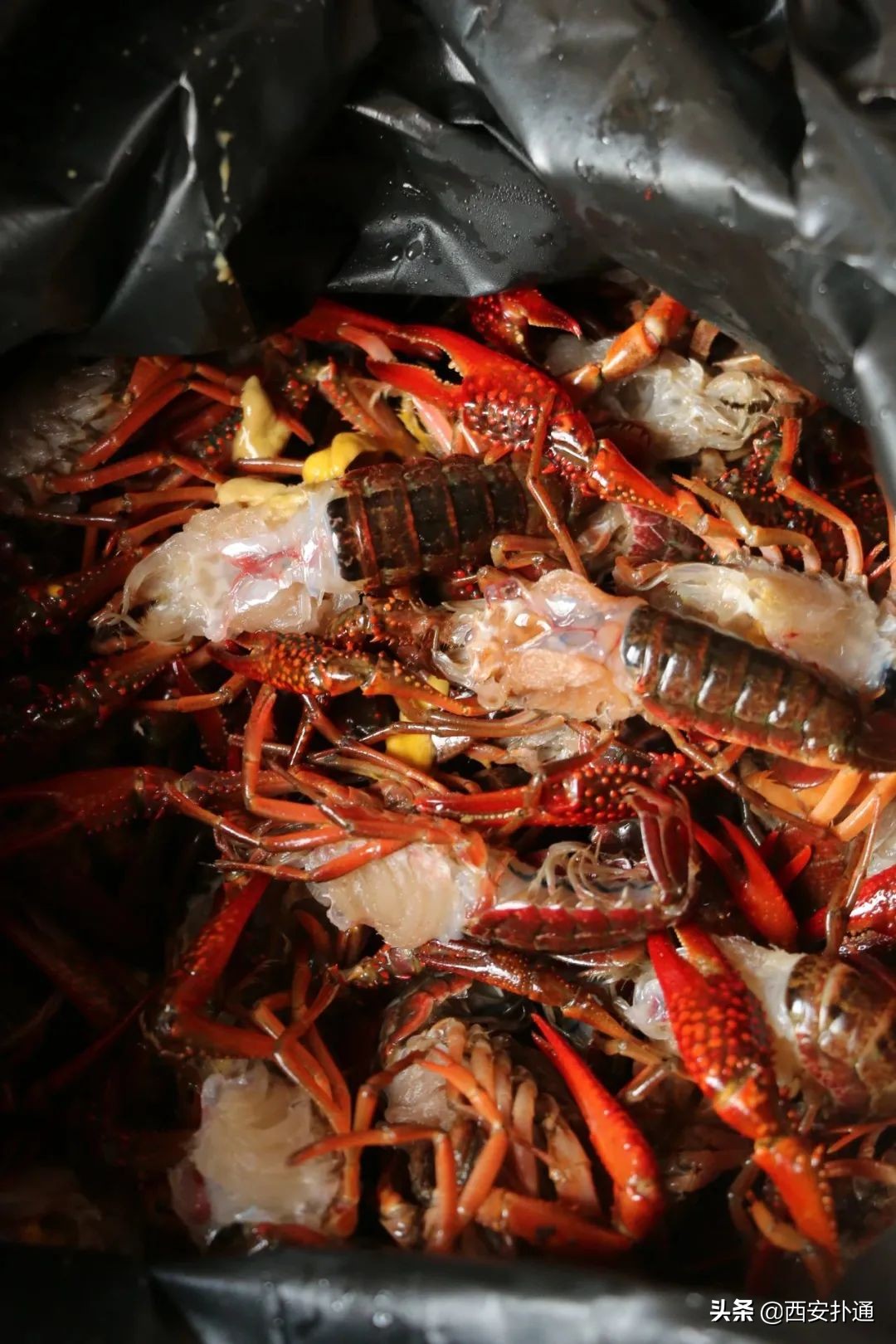 西安曲江哪里有大型批发菜市场,深夜西安十大农贸菜市场
