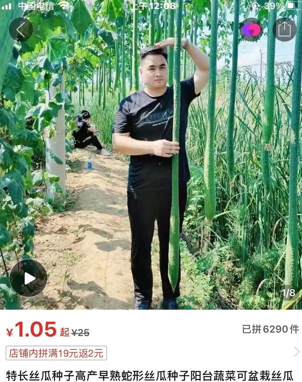 拼夕夕logo搞笑图片,拼夕夕ins风海报