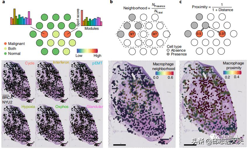 泛癌分析是怎么找到特定的基因的,癌细胞分析最新研究