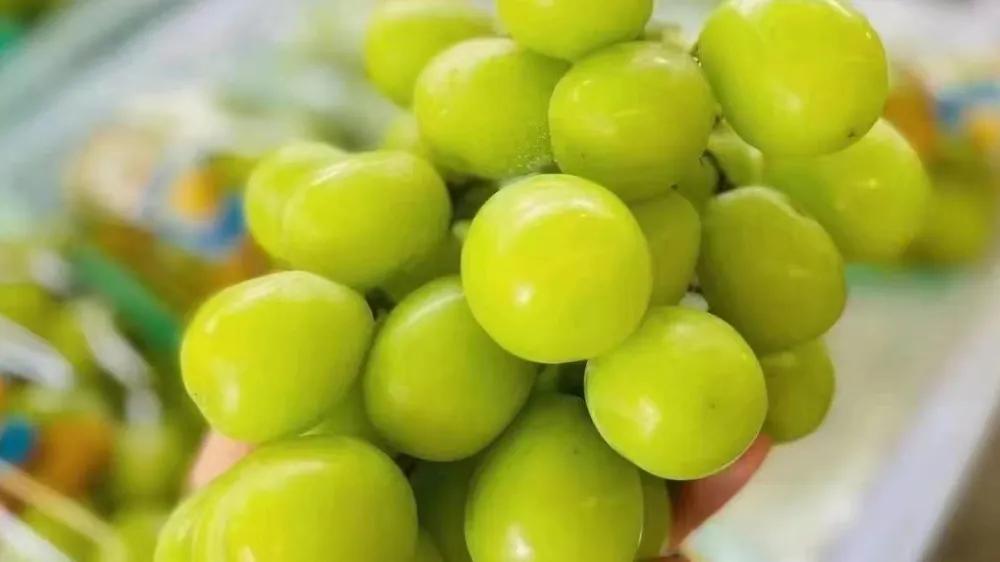 卖水果店的技巧和话术,水果店的销售话术技巧有哪些