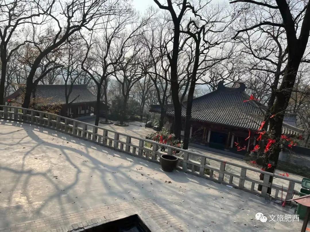 原来，在社交平台中，肥西的真实风景是这样的