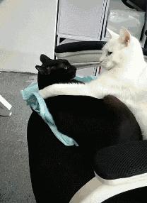 文件*载下**工具，JDownloader2软件体验