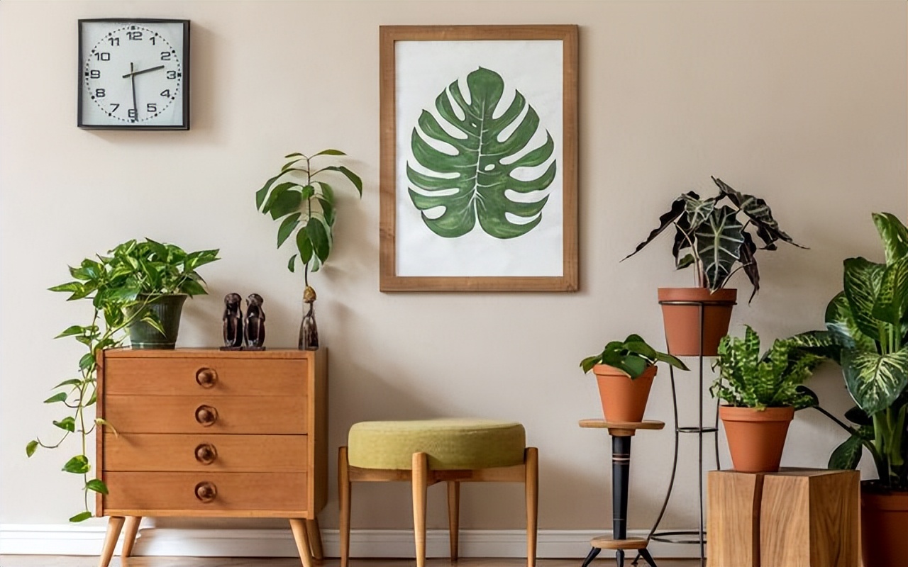 最旺家里的四种花,旺家旺财的8种花