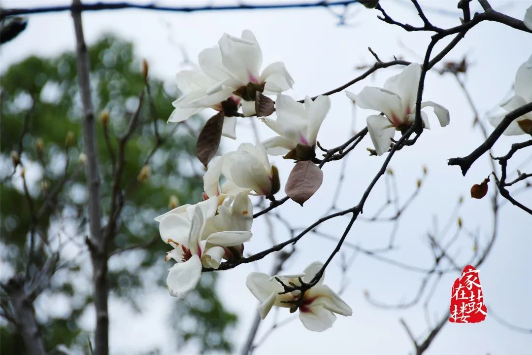 一秒穿越到最浪漫的地方,一秒穿越到风景里