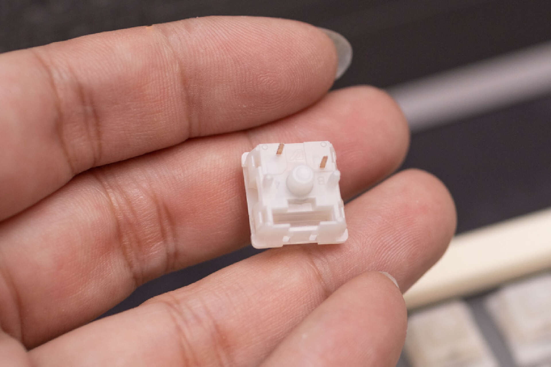 黑爵键盘哪个系列最好,键盘白月光