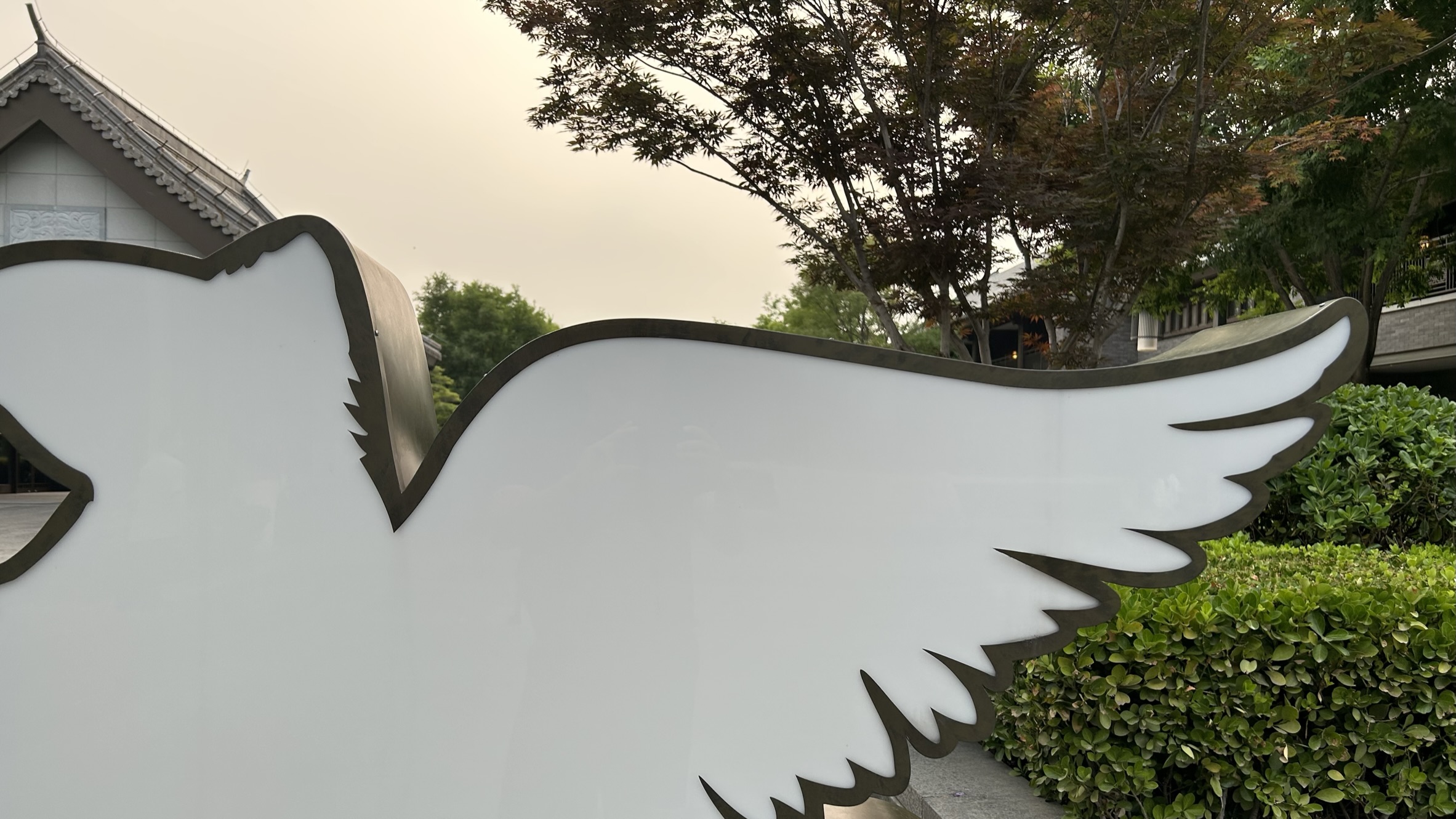 灞变笢鏇查槣娓稿涔嬫梾,鏇查槣娓稿鏈夋剰鎬濆悧