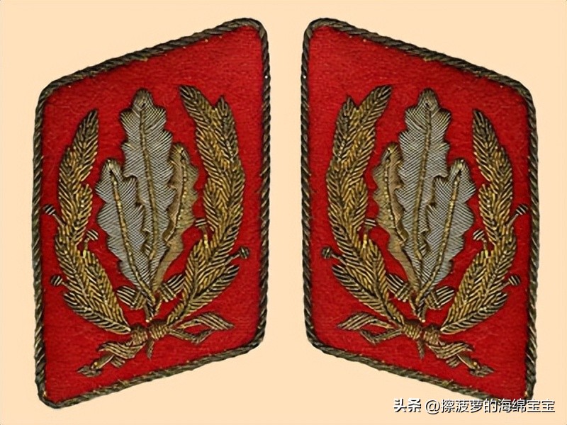 纳粹冲锋队用的什么枪,纳粹德军军衔图解