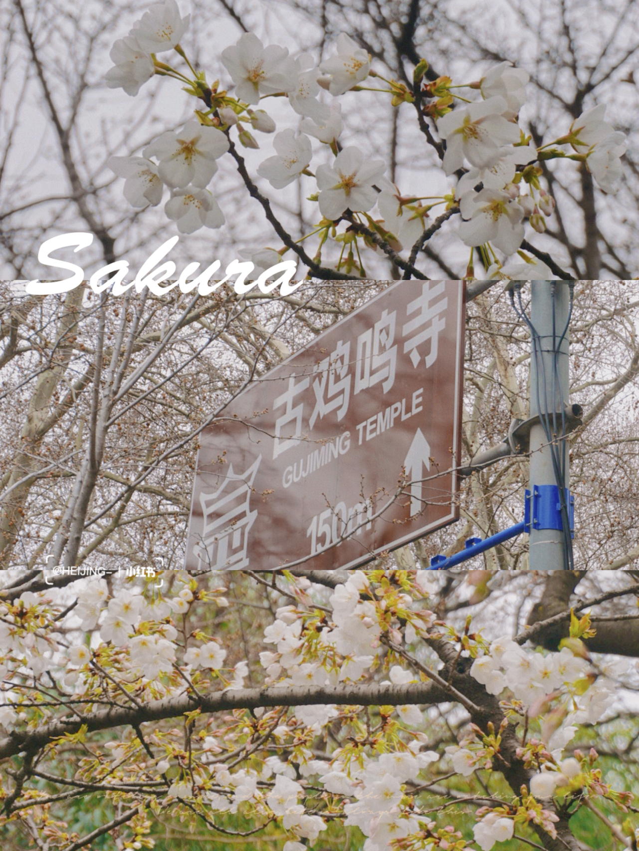 南京值得去的旅游景点推荐,南京必去玩的十大旅游景点