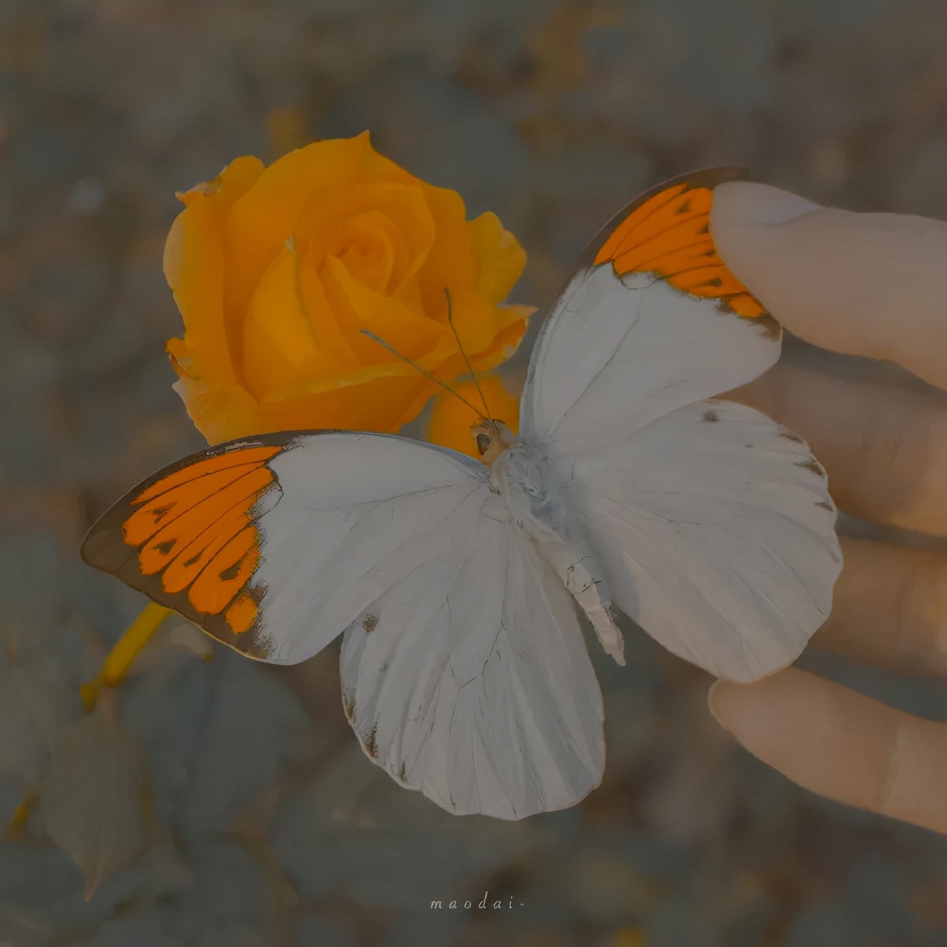 文案短句干净三观正,有哪些三观很正又很温柔的文案