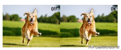 2023年双十一相机全画幅推荐,2022年6月哪款相机最值得入手