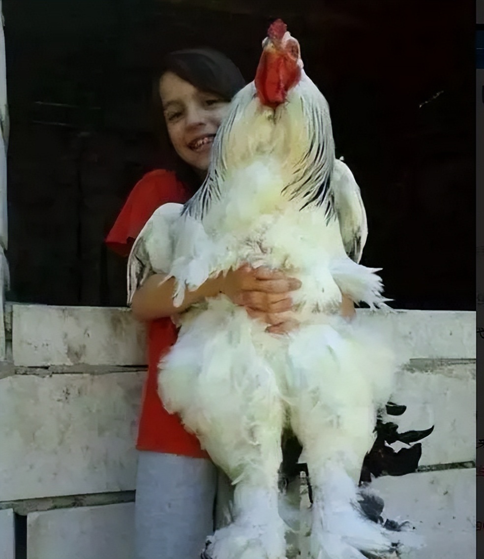 你不知道的五大世界纪录,你不知道的十个世界纪录