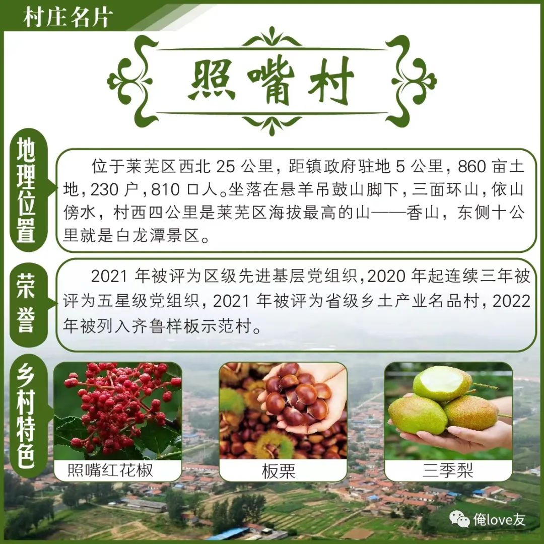 大王镇乡村振兴,莱芜区大王庄镇照嘴村