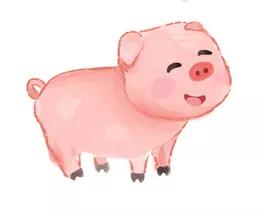 与虎有关的英文吉祥语,老虎虎年英语