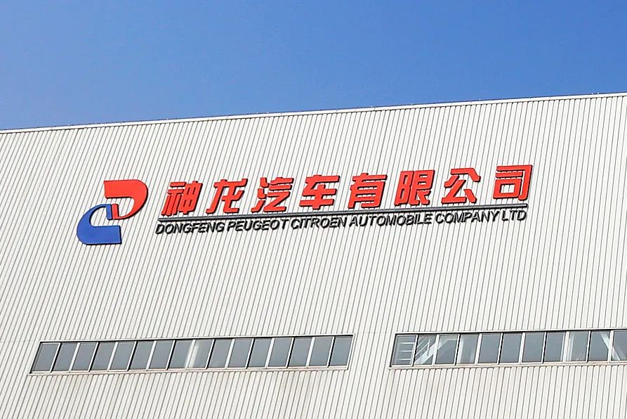 神龙的“阳谋”：长期主义者的品牌建设逻辑