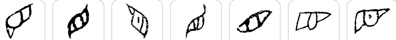 甲骨文书法的基本技巧,书法入门知识带你认识甲骨文