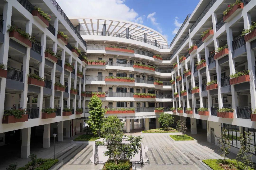 最新南科大附中,南科大附属中学