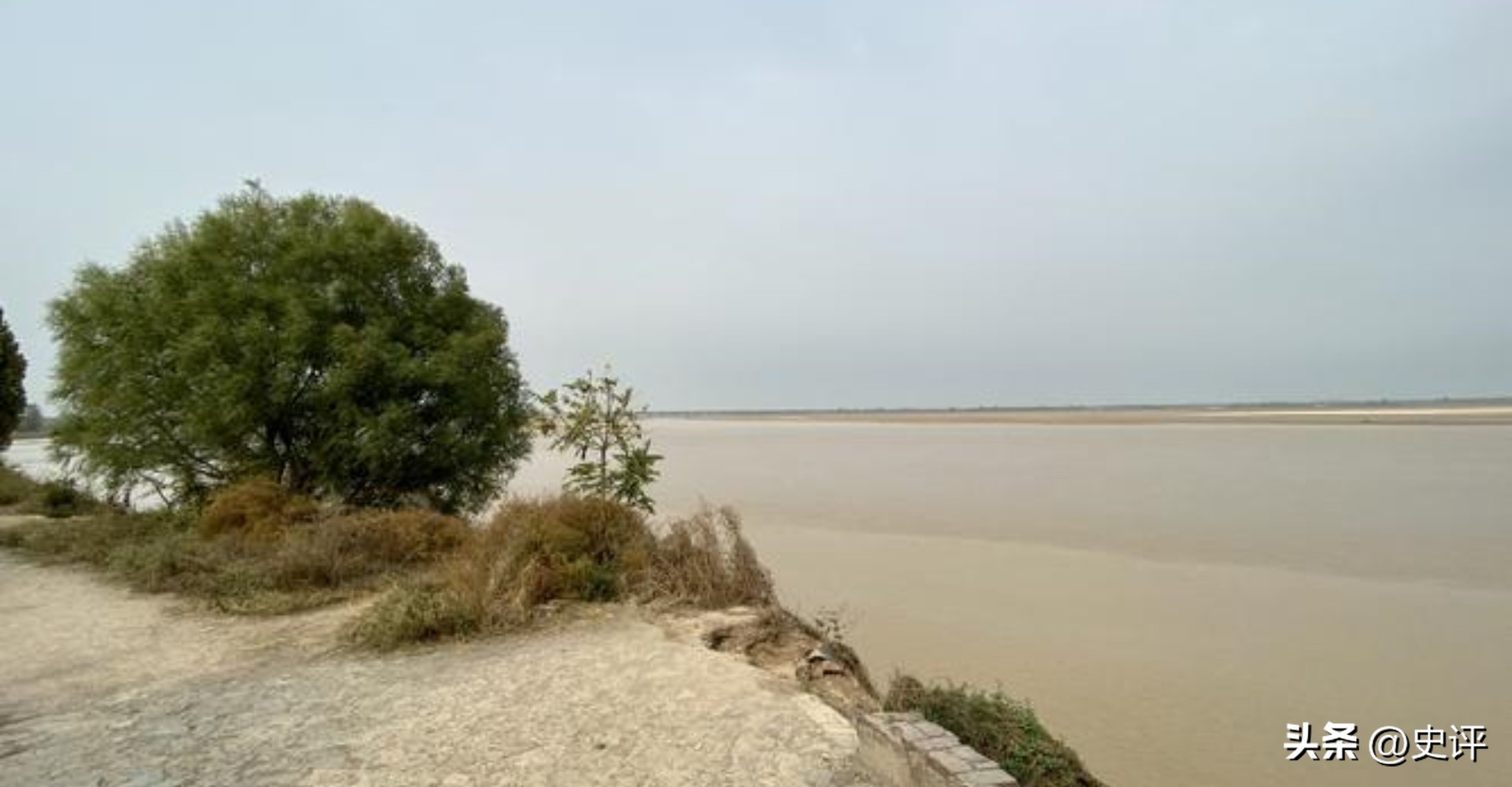 1955年蒋介石想吃奉化老家的黄花泥螺,保密局知道后如何搞到的?