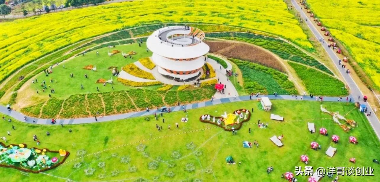 创业课堂盘点5大农村赚钱项目,适合农业的赚钱项目